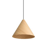 Conique 2 Light Pendant 13.75 Inch Tall and 17.75 Inch Wide by Golden - 3988-18
