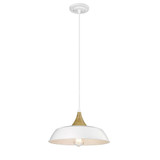 Arlo 1 Light Medium Pendant by Millennium - 4511
