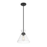 Amarella 1 Light Pendant 9.75 Inch Tall and 10 Inch Wide by Millennium - 69101