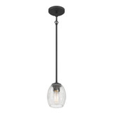 Miravelle 1 Light Pendant 7.5 Inch Tall and 5.25 Inch Wide by Millennium - 9981