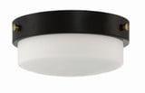 Oak Street 2 Light 11 Inch Wide Flush Mount by Craftmade - X3212