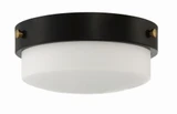 Oak Street 2 Light 11 Inch Wide Flush Mount by Craftmade - X3212