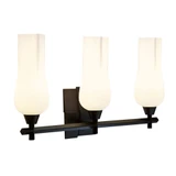 Fleur 3 Light Bath Vanity 13.88 Inch Tall and 25.25 Inch Wide by Atlas - WL11304