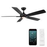 Fernbray Road 60 Inch 5 Blade Ceiling Fan with Light Kit by BSH - 465-BEL-1033566