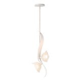 Havelock Cloisters 2 Light Small Pendant by BSH - 91-BEL-1337177