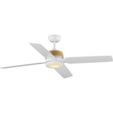 Sherbourne Limes 4 Blade Ceiling Fan with Light Kit 56 Inch Wide by BSH - 70-BEL-1302146