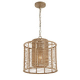 Jayna 1 Light Medium Pendant by Crystorama - JAY-A5001