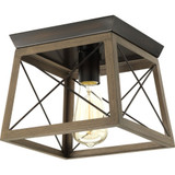 Pippin Coppice 1 Light 9.5 Inch Wide Flush Mount by BSH - 70-BEL-621229