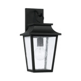 Chandler 1 Light Outdoor Wall Lantern by Capital - 953311