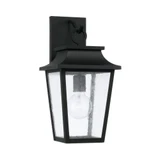 Chandler 1 Light Outdoor Wall Lantern by Capital - 953311