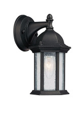 Main Street 1 Light Outdoor Wall Lantern 9.5 Inch Wide by Capital - 9831