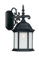 Main Street 1 Light Outdoor Wall Lantern 16 Inch Wide by Capital - 9833