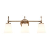 Fusion Tulsi 3 Light Bath Vanity 9.25 X 23.5 Inch Wide by Justice Design - FSN-8313