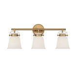 Kaden 3 Light Vanity Light by Savoy House - 8-1627-3