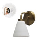 2605_3036 | Main Product Image