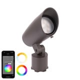 156_5812-CS | Main Product Image