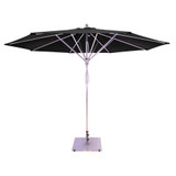 317_781 | Main Product Image