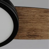 88801OI | detail