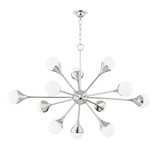 735-BEL-4488848 | 