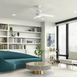 {"pim_id":"147_livingroom_maeve_300044mwh_overall_day_1b_1k","sku":"147_300044","media_type":"media"}