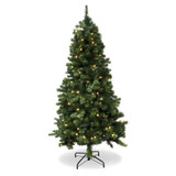 {"pim_id":"756_CT100_new_1k","sku":"2518_756-BEL-5244699","media_type":"media"}