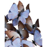 {"pim_id":"204_1200_0977_silhouette_1_new_2k","sku":"204_1200-0977","media_type":"media"}