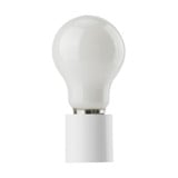 2469_VB20001 | Main Product Image