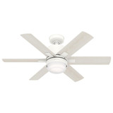 166_50955 | Main Product Image