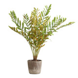 {"pim_id":"208_60243_new_2k","sku":"208_60243","media_type":"media"}