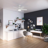50592 | lifestyle
