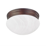 309_5676 | Main Product Image