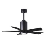 176_PA5-42 | Main Product Image