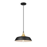 216_4511 | Main Product Image