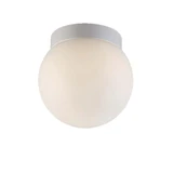 2471_FM-W52306 | Main Product Image