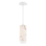 2471_PD-49512 | Main Product Image