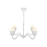 2570_CH558427 | Main Product Image