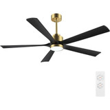 2595_AB5160 | Main Product Image