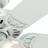 53062 | detail