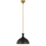 2469_AEP1021 | Main Product Image