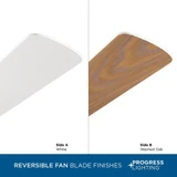 {"pim_id":"70_PROG_P250066_030_White_Washed_Oak_blades_1k","sku":"70_P250066","media_type":"media"}