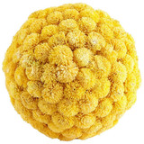 182_075MsF | Main Product Image