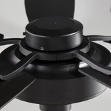 64525-8641 | detail