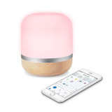 {"pim_id":"2515_WiZ_Smart_Products_media_IZ612069HeroWoodFireplace_1k","sku":"2515_IZ612069","media_type":"media"}