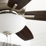 70525-386 | detail