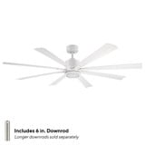 FR-W2403-65L-MW | informational