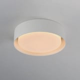 E51010-WT | angle