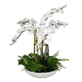 {"pim_id":"208_60239_new_2k","sku":"208_60239","media_type":"media"}
