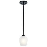 147_44380 | Main Product Image