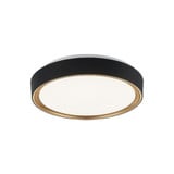 2498_M10601 | Main Product Image