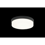 2498_M10901 | Main Product Image